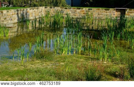 Restoration Of A Pond With A Stone Wall Buried Under The Terrain. Fire Tank With Beveled Stone Paved