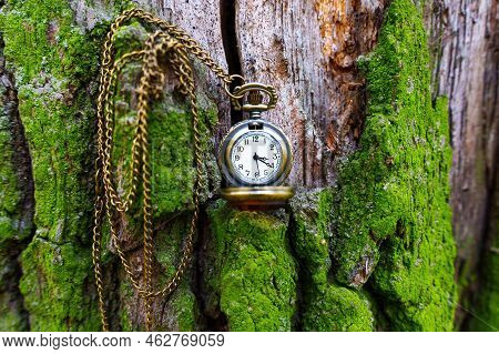 Close-up On A Bronze Toned Pocket Watch Placed On A Moss Covered Tree. Fairy Tail Time Related Conce