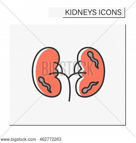 Illness Color Icon. Infection In Kidney. Blood Poisoning. Unhealthy Internal Organ. Healthcare Conce