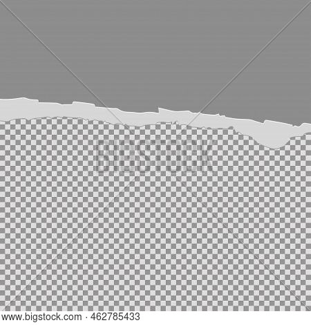 Tore Off Half A Sheet Of Gray Paper From The Top. Vector Paper Design Template. Vector