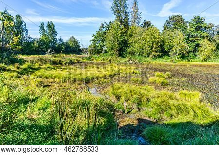 A View Of The Nisqually Wetlands In Washington State. Landscape Photo.