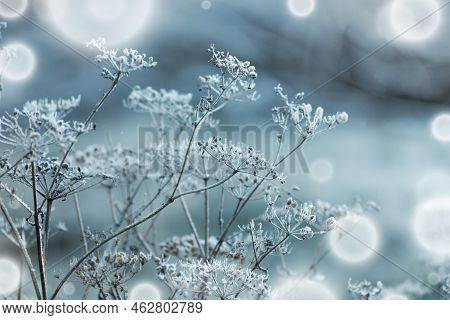 Beautiful Winter Landscape With Girskiy Tikych River Running Through Frosted Trees And Rocks.
