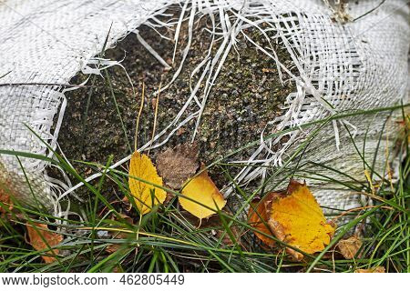 Close-up Of A Torn Sandbag On A Cloudy Day With Yellow Leaves, Mining. War In Ukraine