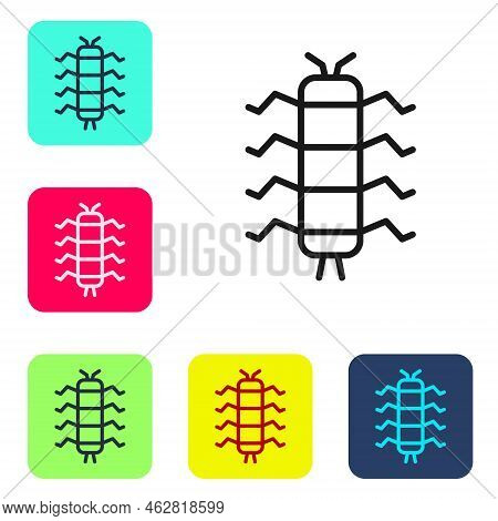 Black Line Centipede Insect Icon Isolated On White Background. Set Icons In Color Square Buttons. Ve