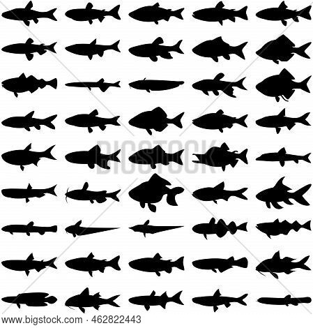 Layered Editable Vector Illustration Silhouette Of 45 Freshwater Fishes.