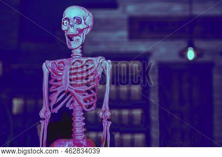 Pink Red Slver Poisonous Halloween Skeleton In Dark Brown Room