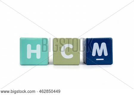 Human Capital Management Hcm Is A Concept Of Human Resource Management That Developed From The Conce