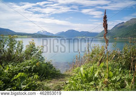 Landscape View Of The Fiords And Mountains In Lofoten Islands, Norway. High Quality Photo