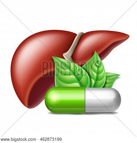 Human Liver And Medicine Capsules With Green Leaves.