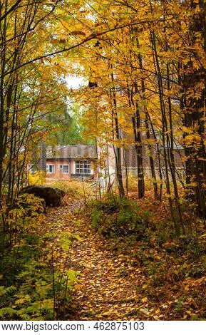 Autumn Season Forest Landscape With Maple Yellow Leaves On The Ground. Footpath In The Park. Kuopio 