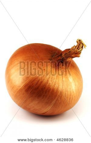 Zwiebel