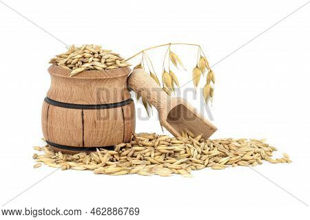 Heap Of Organic Oat Grains With Hulls Or Husks In Small Wooden Barrel Isolated On White Background. 