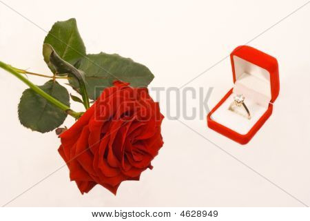 Rose und ring