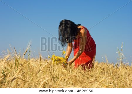 Frau piking gelbe Blumen