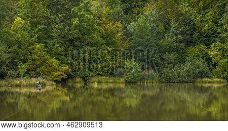 Lake In The Carpathian Forest, Hutsulshchyna National Park, Ukraine