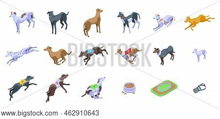 Greyhound Icons Set Isometric Vector. Whippet Animal. Breed Canine