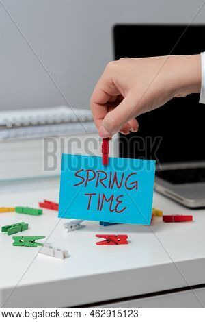 Conceptual Caption Spring Time. Business Overview Temperate Season Of The Year Identified By A Reviv