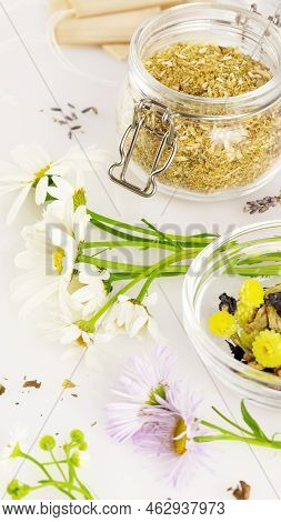 Wild Flowers, Collecting Dried Herbs For Tea And Paper Tea Bags On A White Background. Natural, Home