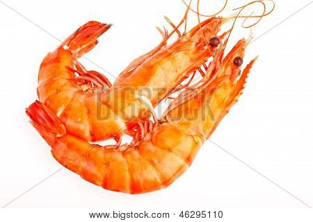 화이트에 찐된 새우