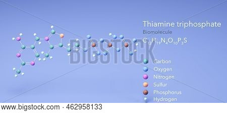 Thiamine Triphosphate, Molecular Structures, Biomolecule, 3d Model, Structural Chemical Formula And 