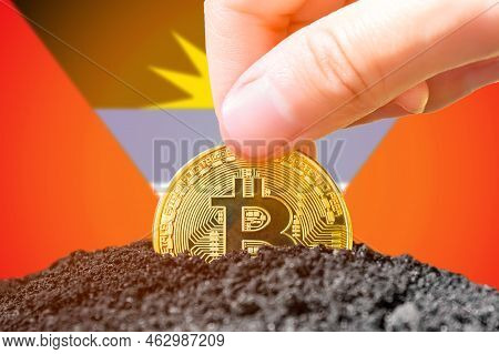 Legalization Of Bitcoin In Antigua And Barbuda. Planting Bitcoin In The Ground On The Background Of 
