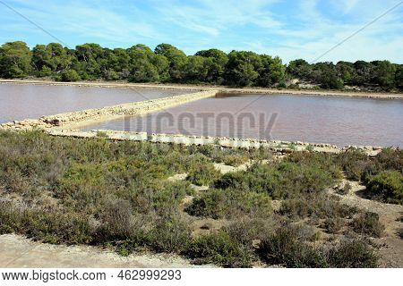 The Natural Reserve Of The Salinas Of Ibiza And Formentera A Spectacle Of The Balearic Islands In Sp