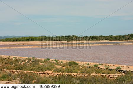 The Natural Reserve Of The Salinas Of Ibiza And Formentera A Spectacle Of The Balearic Islands In Sp