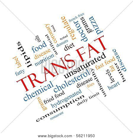 Trans Fat Word Cloud Concept Angled