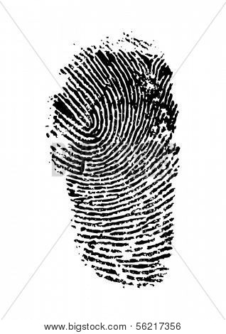 finger print