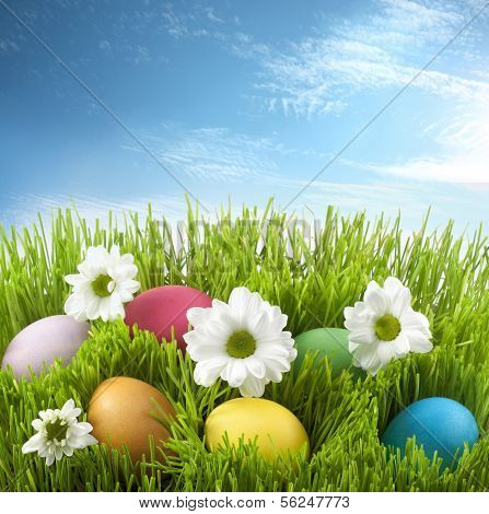 Easter colorful eggs in green grass with flowers on meadow