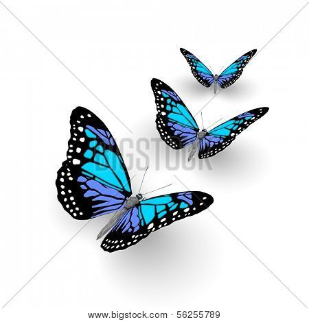 Butterfly isolated on white. 3d illustration.