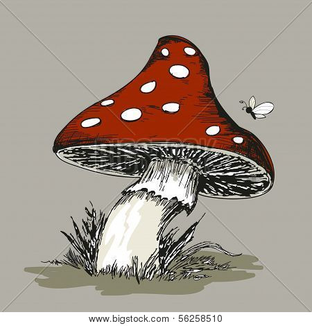 Mushroom Amanita with grass