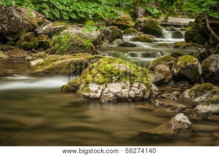 Creek, Rocks And Vegetation