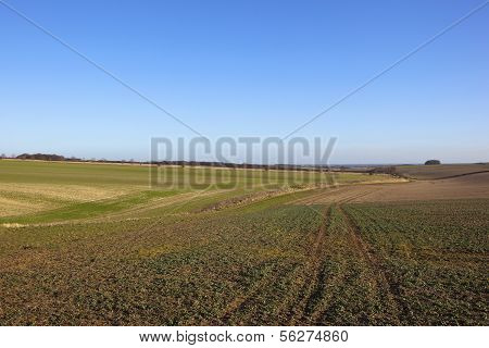 Yorkshire Wolds Agriculture
