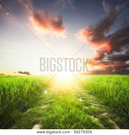 Rural landscape