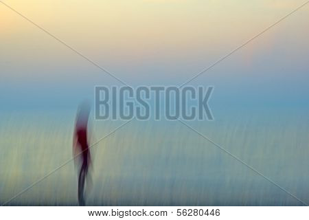 The Lonely