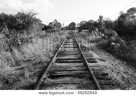 Black And White Railroad Tracks In Florida