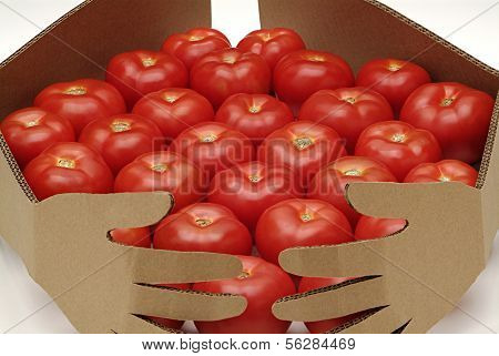 Tomatoes