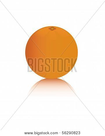 Orange isolated