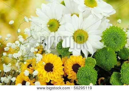Beautiful flowers on bright background