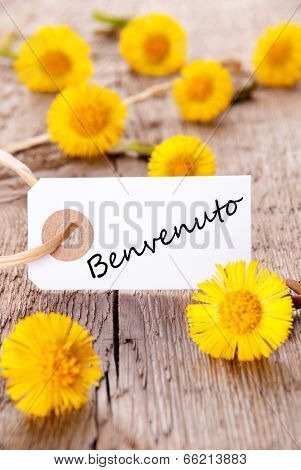 Yellow Flowers With Benvenuto