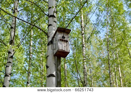 Old Bird House.