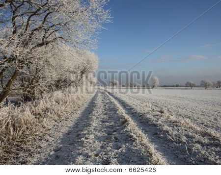 Blanc dépoli paysage