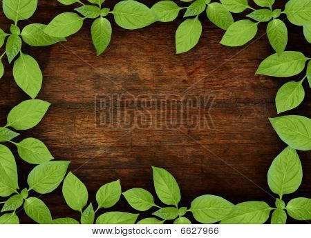 Gamla trä bakgrund med grön blommig ram