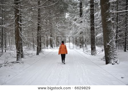 Senior Woman Strawling In The Winter Forest