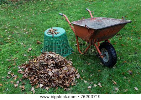 Wheel Barrow And Leafes