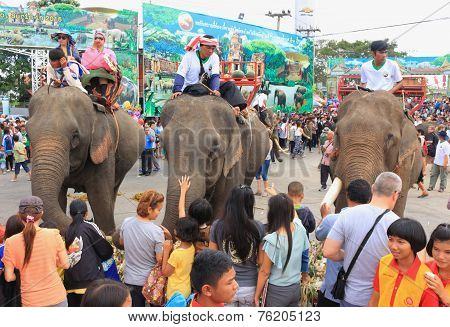 traveler take photo and give food to elephant