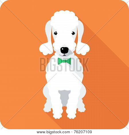 Dog Icon Flat Design