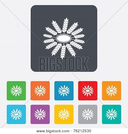 Agricultural sign icon. Gluten free or No gluten