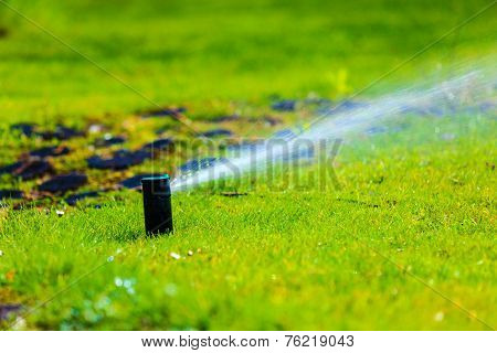 Gardening. Lawn Sprinkler Spraying Water Over Grass.